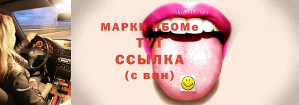 хмурый Арсеньев