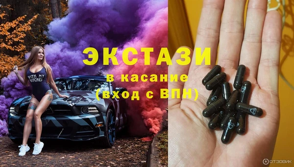 стаф Аркадак