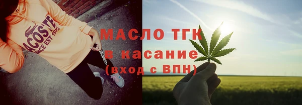 стаф Аркадак
