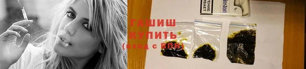 стаф Аркадак