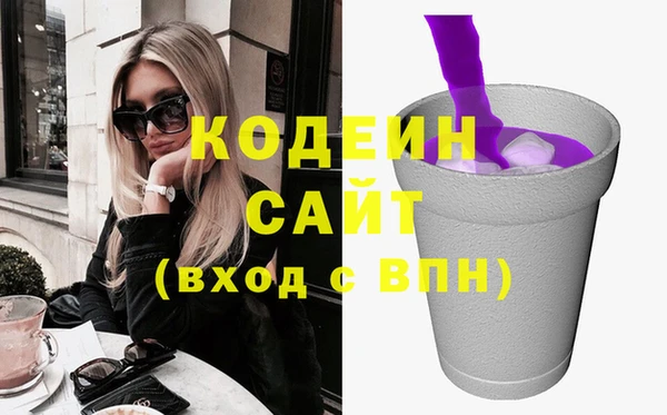 хмурый Арсеньев