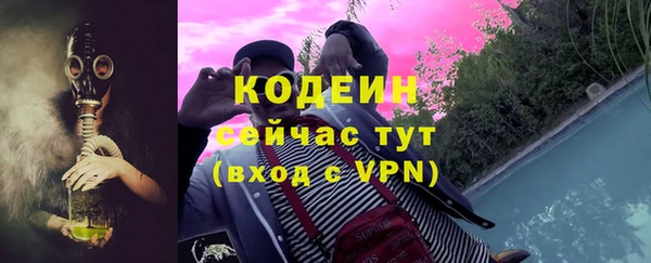 хмурый Арсеньев